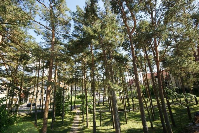 Kotedzas-Irena Apartment Нида Екстериор снимка